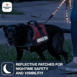 Industrial Puppy Service Dog Patches -PetSafe Kong Shop 155415 PT6. AC SS1800 V1672330170