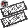 Industrial Puppy Service Dog In Training Patches