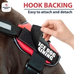 Industrial Puppy Service Dog In Training Patches -PetSafe Kong Shop 155420 PT4. AC SS1800 V1672325849