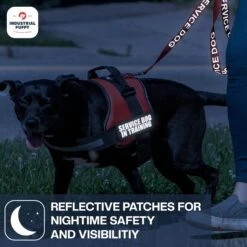 Industrial Puppy Service Dog In Training Patches -PetSafe Kong Shop 155420 PT5. AC SS1800 V1672329010