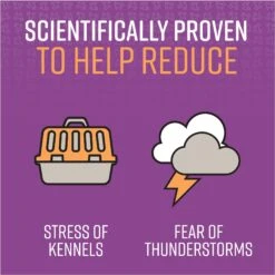 Sentry Good Behavior Calming Spray For Dogs 9 Sentry Good Behavior Calming Spray For Dogs -PetSafe Kong Shop 155515 PT3. AC SS1800 V1661799269