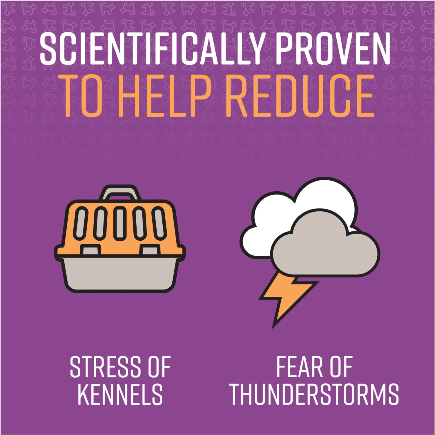 Sentry Good Behavior Calming Spray For Dogs 4 Sentry Good Behavior Calming Spray For Dogs - Image 4