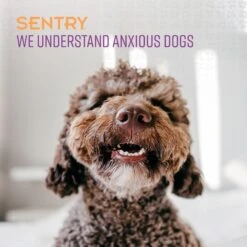 Sentry Good Behavior Calming Spray For Dogs 10 Sentry Good Behavior Calming Spray For Dogs -PetSafe Kong Shop 155515 PT4. AC SS1800 V1661797759