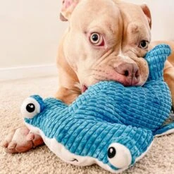 Snuggle Puppy Tender-Tuffs Hammerhead Shark Tough Squeaky Dog Toy -PetSafe Kong Shop 155701 PT5. AC SS1800 V1667518869