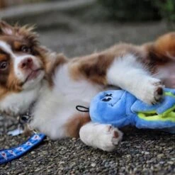 Snuggle Puppy Tender-Tuffs Curly Leg Octopus Tough Squeaky Dog Easy Grab Toy -PetSafe Kong Shop 155708 PT4. AC SS1800 V1667517919