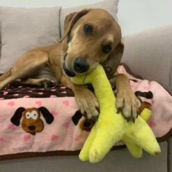 Snuggle Puppy Tender-Tuffs Soft Giraffe Dog Comfort Toy -PetSafe Kong Shop 155725 PT4. AC SS1800 V1667519246