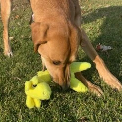 Snuggle Puppy Tender-Tuffs Soft Giraffe Dog Comfort Toy -PetSafe Kong Shop 155725 PT5. AC SS1800 V1667519421