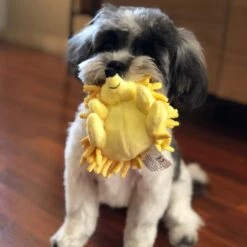 Smart Pet Love Snuggle Puppy Tender-Tuffs Yellow Hedgehog Squeaky Dog Toy 11 Smart Pet Love Snuggle Puppy Tender-Tuffs Yellow Hedgehog Squeaky Dog Toy -PetSafe Kong Shop 155751 PT4. AC SS1800 V1667519700
