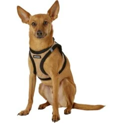 Best Pet Supplies Voyager Padded Fleece Dog Harness -PetSafe Kong Shop 155835 PT4. AC SS1800 V1575422062