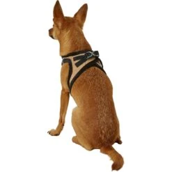 Best Pet Supplies Voyager Padded Fleece Dog Harness -PetSafe Kong Shop 155835 PT5. AC SS1800 V1575474781