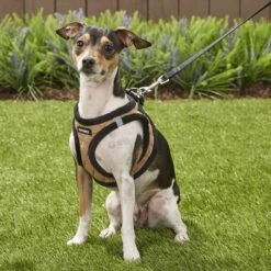 Best Pet Supplies Voyager Padded Fleece Dog Harness -PetSafe Kong Shop 155835 PT6. AC SS1800 V1575479935