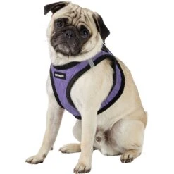 Best Pet Supplies Voyager Padded Faux Leather Dog Harness -PetSafe Kong Shop 155873 PT4. AC SS1800 V1575421703