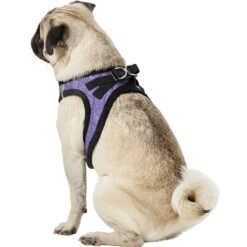 Best Pet Supplies Voyager Padded Faux Leather Dog Harness -PetSafe Kong Shop 155873 PT5. AC SS1800 V1575475144