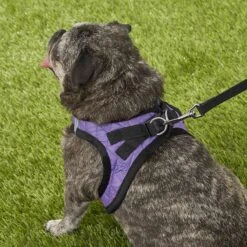 Best Pet Supplies Voyager Padded Faux Leather Dog Harness -PetSafe Kong Shop 155873 PT7. AC SS1800 V1575484464