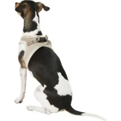 Best Pet Supplies Voyager Plush Suede Dog Harness -PetSafe Kong Shop 155926 PT5. AC SS1800 V1575475783