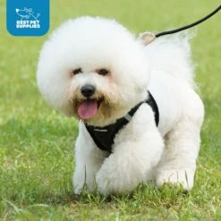 Best Pet Supplies Voyager Plush Suede Dog Harness -PetSafe Kong Shop 155926 PT8. AC SS1800 V1576695778