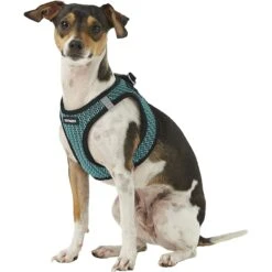 Best Pet Supplies Voyager All Season Mesh Dog Harness -PetSafe Kong Shop 155949 PT4. AC SS1800 V1575420848