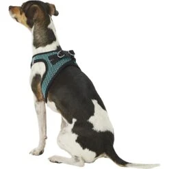 Best Pet Supplies Voyager All Season Mesh Dog Harness -PetSafe Kong Shop 155949 PT5. AC SS1800 V1575476064
