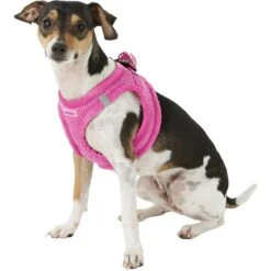 Best Pet Supplies Voyager Corduroy Dog Harness -PetSafe Kong Shop 155972 PT4. AC SS1800 V1575420614