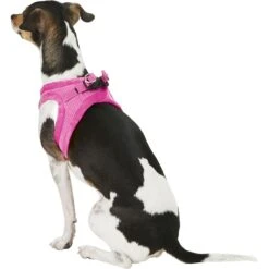 Best Pet Supplies Voyager Corduroy Dog Harness -PetSafe Kong Shop 155972 PT5. AC SS1800 V1575476895