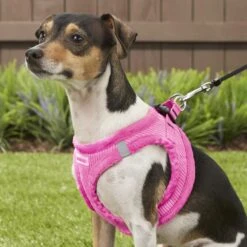 Best Pet Supplies Voyager Corduroy Dog Harness -PetSafe Kong Shop 155972 PT6. AC SS1800 V1575481142