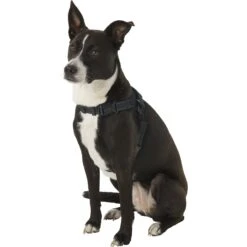 Copatchy No-Pull Reflective Adjustable Dog Harness -PetSafe Kong Shop 156689 PT2. AC SS1800 V1575408795