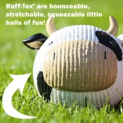 HuggleHounds Ruff-Tex Squeaky Dog Toy 13 HuggleHounds Ruff-Tex Squeaky Dog Toy -PetSafe Kong Shop 158451 PT4. AC SS1800 V1603153890