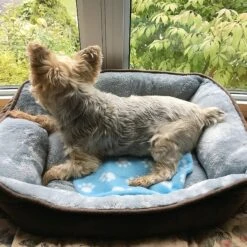 Pet Fit For Life Cooling & Heating Pad -PetSafe Kong Shop 159014 PT7. AC SS1800 V1552502520