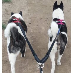 Pet Fit For Life Dual Dog Leash With Bowl -PetSafe Kong Shop 159024 PT8. AC SS1800 V1552502542