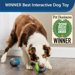 PetSafe Ricochet Interactive Sound Game Dog Toy 11 PetSafe Ricochet Interactive Sound Game Dog Toy -PetSafe Kong Shop 159052 PT3. AC SS1800 V1599844580