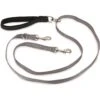 PetSafe Two Point Control Nylon Reflective Dog Leash