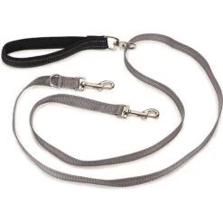 PetSafe Two Point Control Nylon Reflective Dog Leash