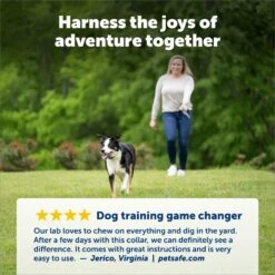 PetSafe Rechargable Remote Spray Dog Training Collar With Disposable Spray Cartridges -PetSafe Kong Shop 159094 PT3. AC SS1800 V1693491364