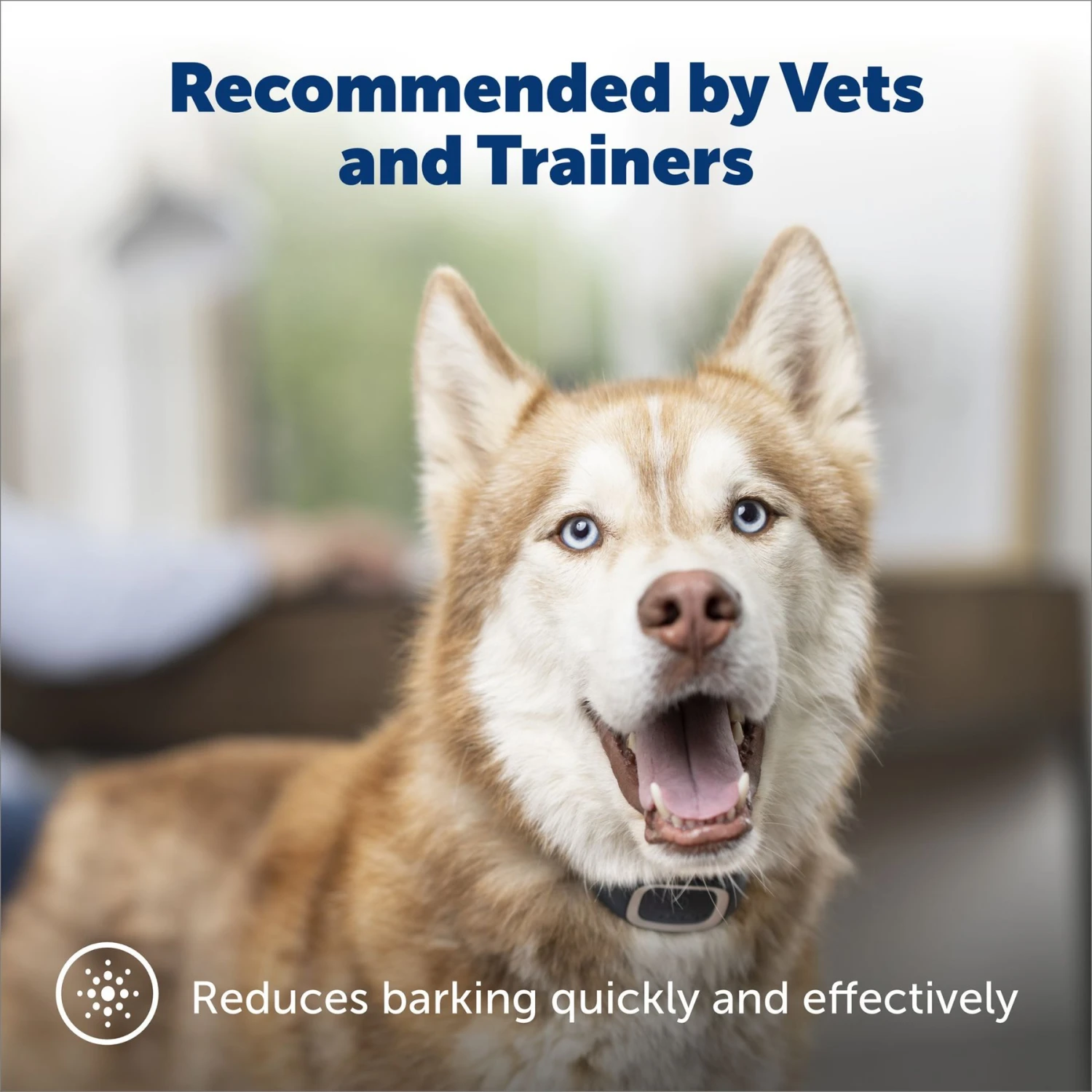 PetSafe Waterproof Basic Static Dog Bark Collar 2 PetSafe Waterproof Basic Static Dog Bark Collar - Image 2