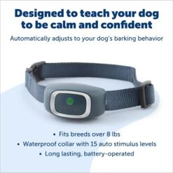 PetSafe Waterproof Basic Static Dog Bark Collar 8 PetSafe Waterproof Basic Static Dog Bark Collar -PetSafe Kong Shop 159096 PT2. AC SS1800 V1695823845