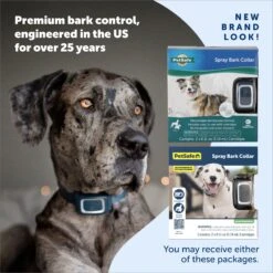 PetSafe Water Resistant Rechargeable Spray Dog Bark Collar With Disposable Spray Cartridges -PetSafe Kong Shop 159098 PT5. AC SS1800 V1690987987