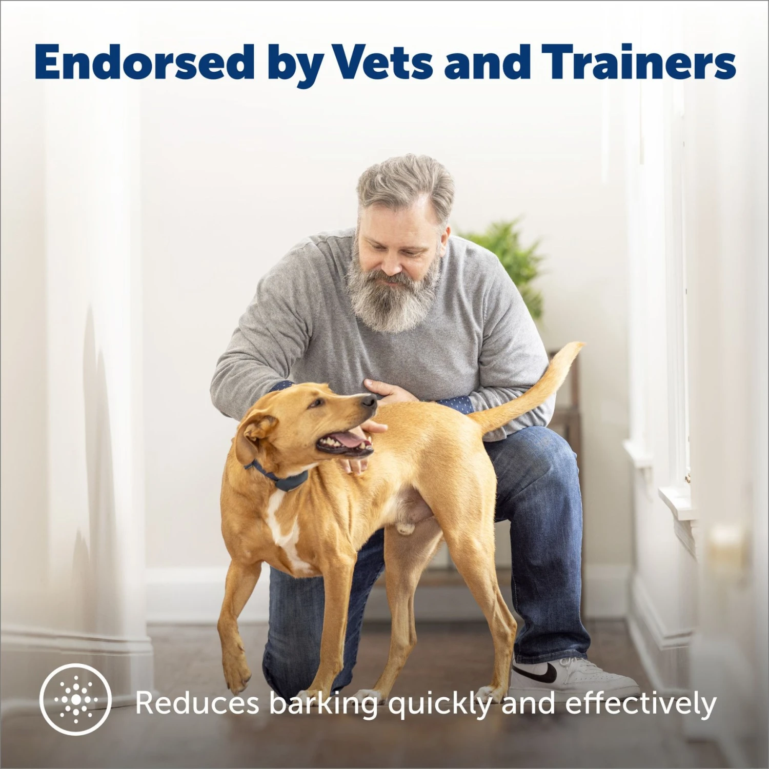 PetSafe Lite Waterproof Rechargeable Static Dog Bark Collar 2 PetSafe Lite Waterproof Rechargeable Static Dog Bark Collar - Image 2