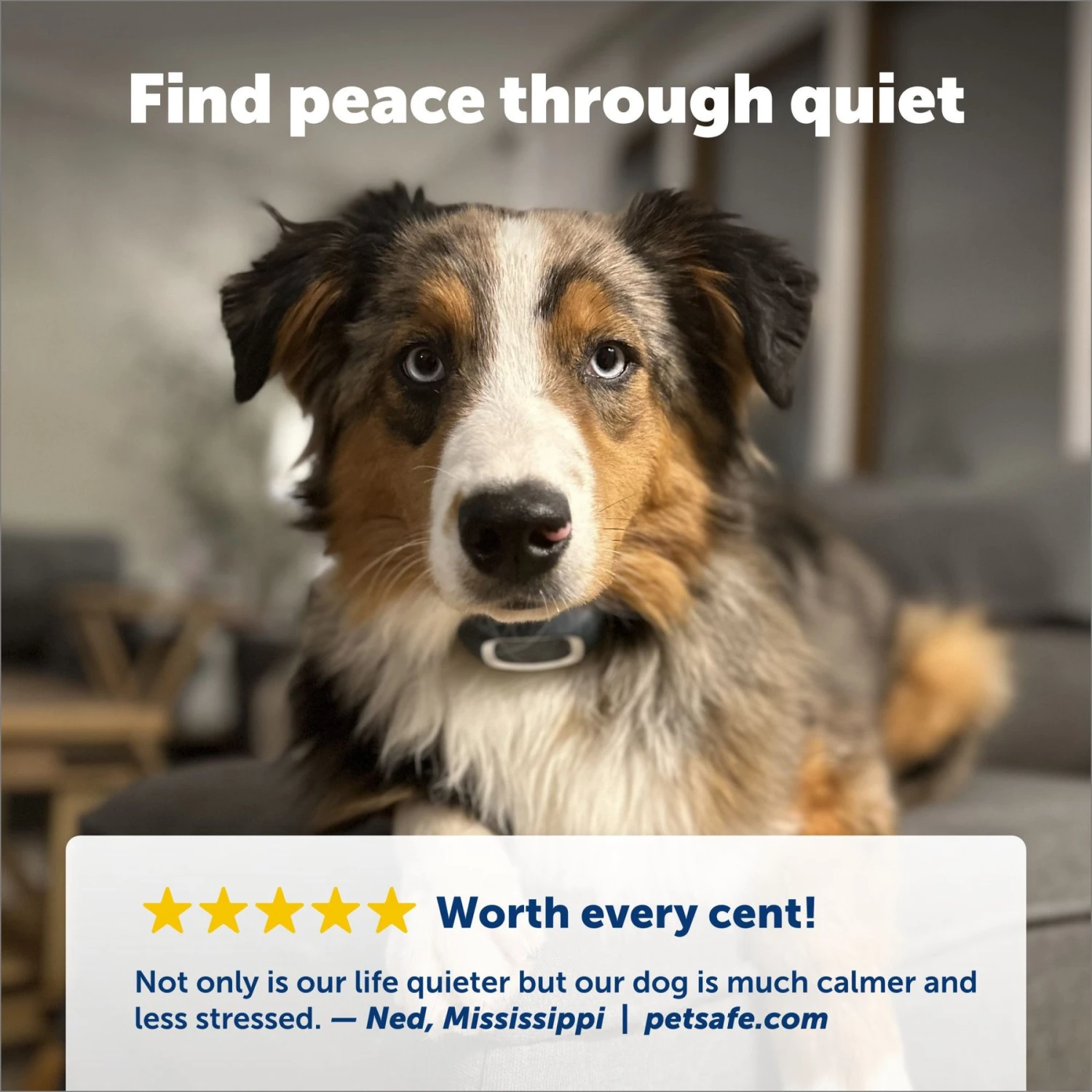 PetSafe Lite Waterproof Rechargeable Static Dog Bark Collar 4 PetSafe Lite Waterproof Rechargeable Static Dog Bark Collar - Image 4