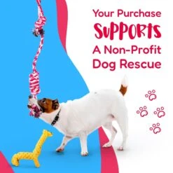 Pacific Pups Rescue Assorted Rope Dog Toys -PetSafe Kong Shop 159359 PT2. AC SS1800 V1701935706