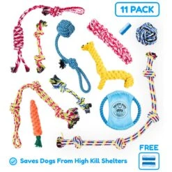 Pacific Pups Rescue Assorted Rope Dog Toys -PetSafe Kong Shop 159359 PT7. AC SS1800 V1692805976