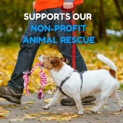 Pacific Pups Rescue Assorted Rope Dog Toys -PetSafe Kong Shop 159359 PT8. AC SS1800 V1701983221