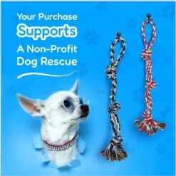 Pacific Pups Rescue 4-Piece Medium & Large Dog Rope & Ball Toy Set -PetSafe Kong Shop 159360 PT3. AC SS1800 V1692806970