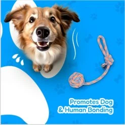 Pacific Pups Rescue 4-Piece Medium & Large Dog Rope & Ball Toy Set -PetSafe Kong Shop 159360 PT4. AC SS1800 V1692806969