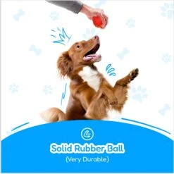 Pacific Pups Rescue 4-Piece Medium & Large Dog Rope & Ball Toy Set -PetSafe Kong Shop 159360 PT5. AC SS1800 V1692806970