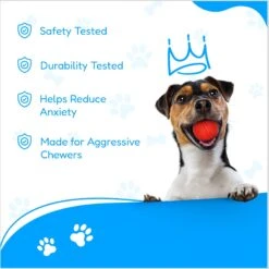 Pacific Pups Rescue 4-Piece Medium & Large Dog Rope & Ball Toy Set -PetSafe Kong Shop 159360 PT6. AC SS1800 V1692806969