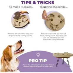 Nina Ottosson By Outward Hound Hide N' Slide Puzzle Game Dog Toy -PetSafe Kong Shop 159428 PT3. AC SS1800 V1694287373