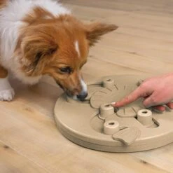 Nina Ottosson By Outward Hound Hide N' Slide Puzzle Game Dog Toy -PetSafe Kong Shop 159428 PT4. AC SS1800 V1694439631