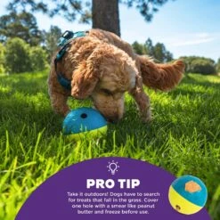 Nina Ottosson By Outward Hound Treat Tumble Puzzle Game Dog Toy 12 Nina Ottosson By Outward Hound Treat Tumble Puzzle Game Dog Toy -PetSafe Kong Shop 159436 PT3. AC SS1800 V1694287367