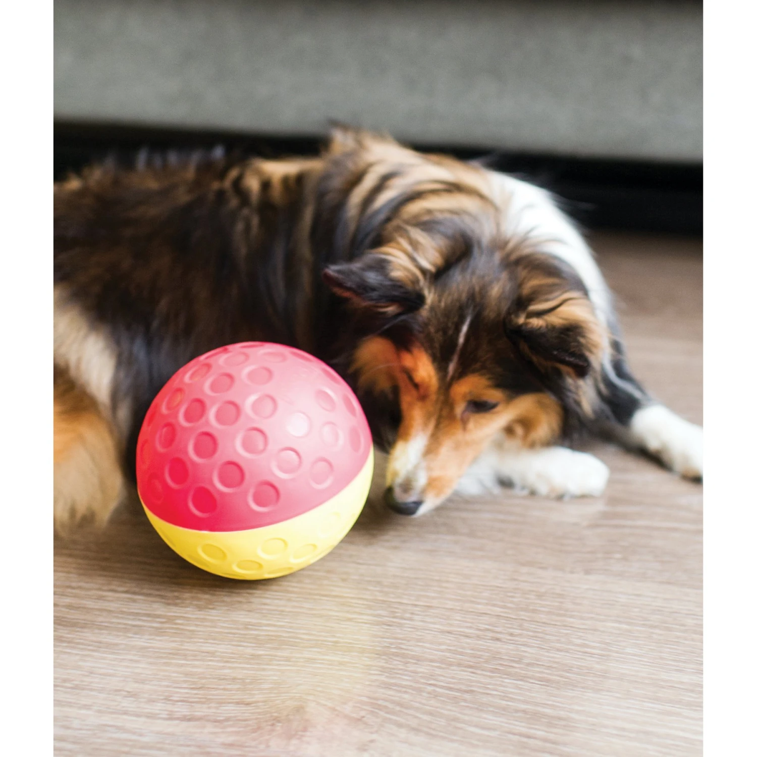 Nina Ottosson By Outward Hound Treat Tumble Puzzle Game Dog Toy 8 Nina Ottosson By Outward Hound Treat Tumble Puzzle Game Dog Toy - Image 8