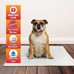 OUT! Heavy Duty XX-Large Dog Pads -PetSafe Kong Shop 159771 PT2. AC SS1800 V1552596789